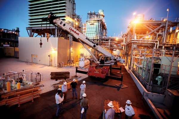 Cane-Island-crane-FLAT