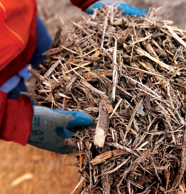 biomass